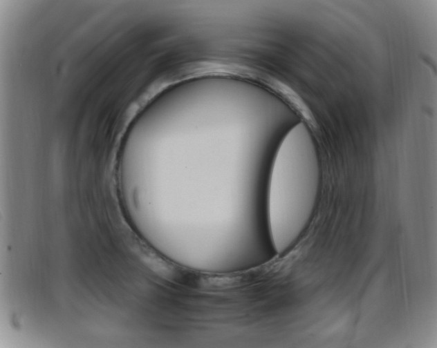 X0000096731427200802051118