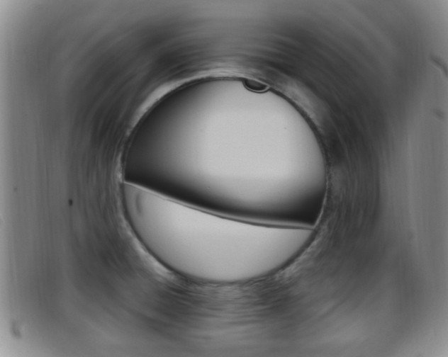 X0000096731428200802051118