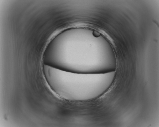 X0000096731429200802051118