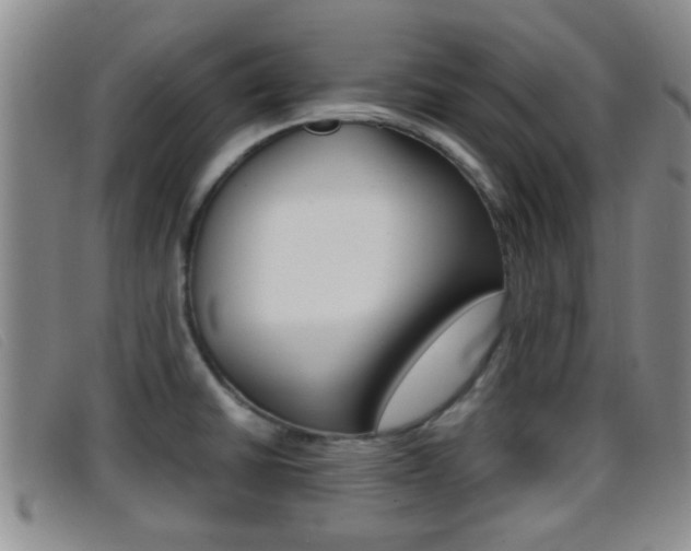 X0000096731430200802051118
