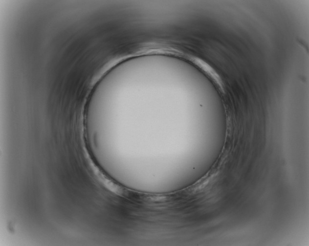 X0000096731431200802051118