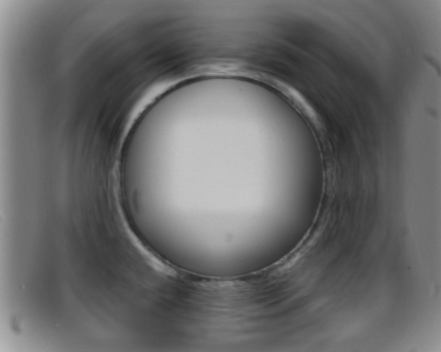 X0000096731432200802051118