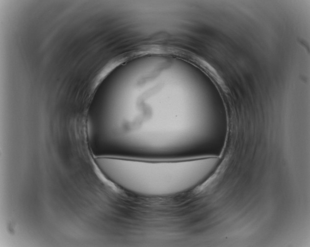 X0000096731433200802051118
