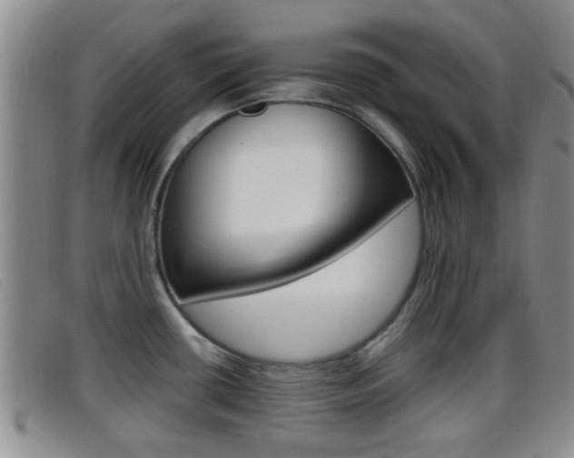 X0000096731434200802051118