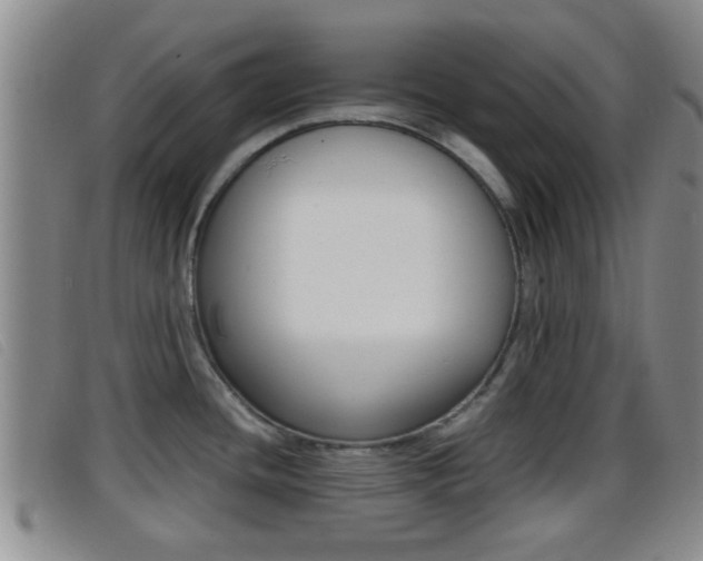 X0000096731436200802051118