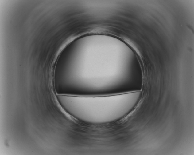 X0000096731437200802051118
