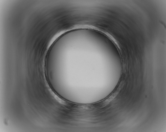 X0000096731438200802051118