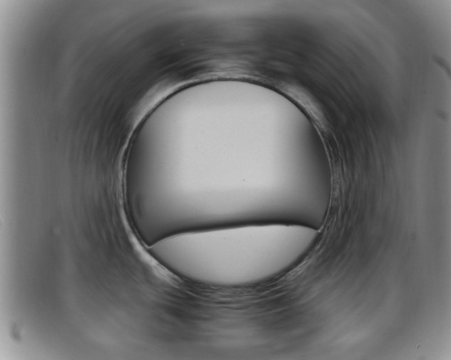 X0000096731439200802051118