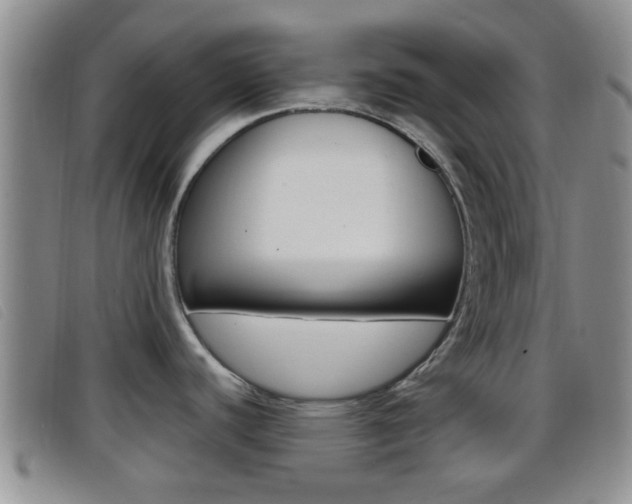 X0000096731440200802051118