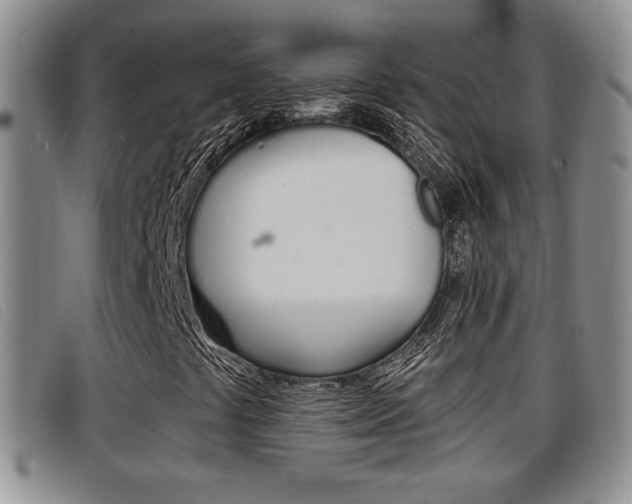 X0000096731441200802051117
