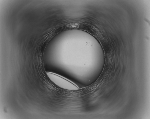 X0000096731442200802051117