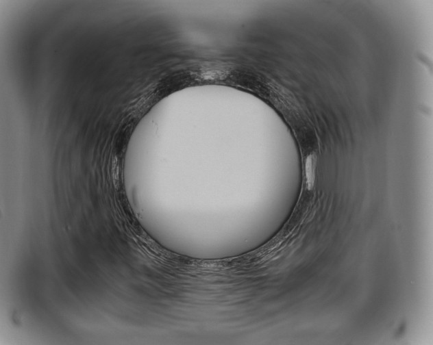X0000096731443200802051117