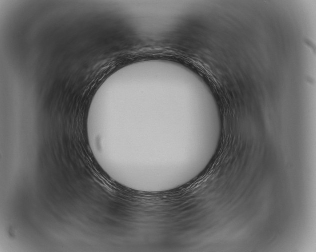 X0000096731444200802051117
