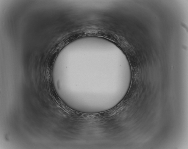 X0000096731445200802051117