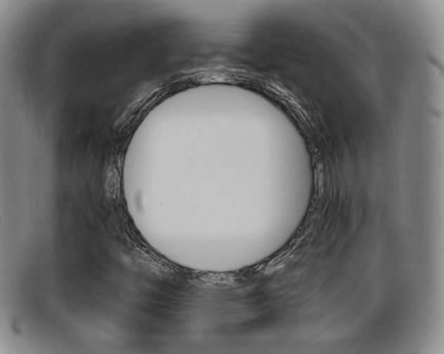X0000096731446200802051117