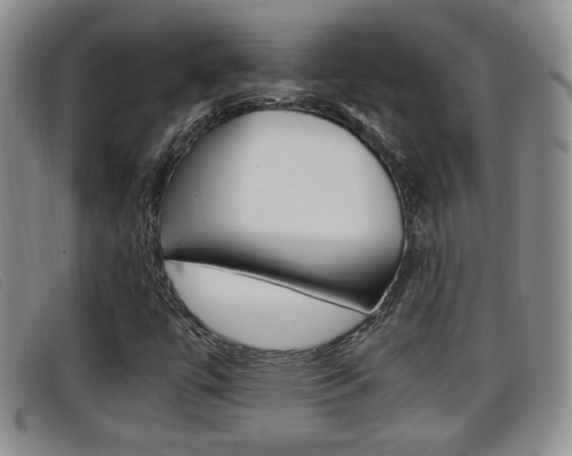 X0000096731447200802051117