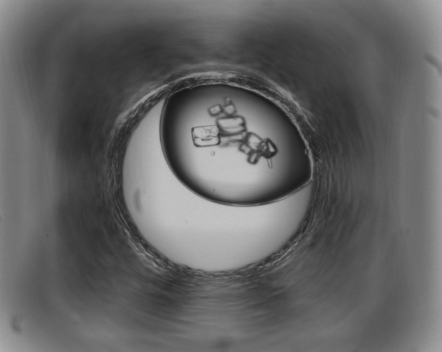 X0000096731448200802051117
