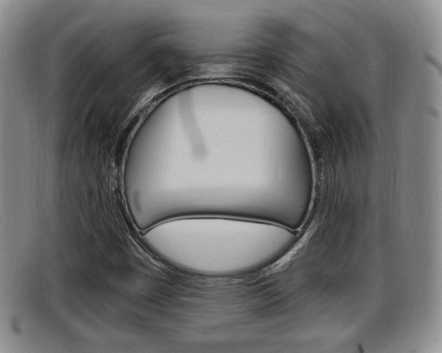 X0000096731449200802051117