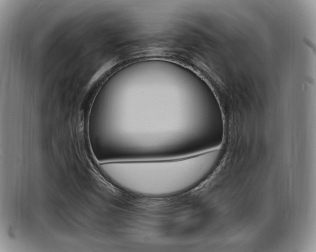 X0000096731450200802051117