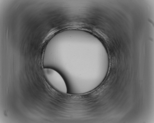 X0000096731451200802051117
