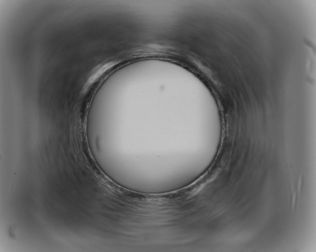 X0000096731453200802051117