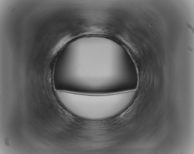 X0000096731455200802051117