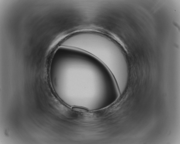 X0000096731456200802051117