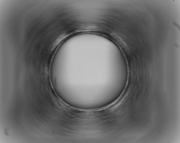 X0000096731457200802051117