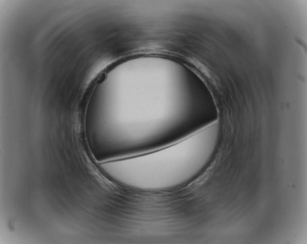 X0000096731458200802051117