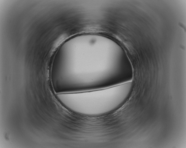X0000096731459200802051117