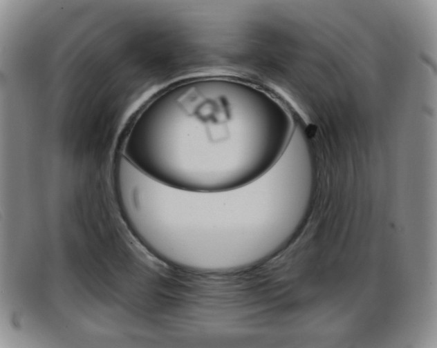 X0000096731460200802051117
