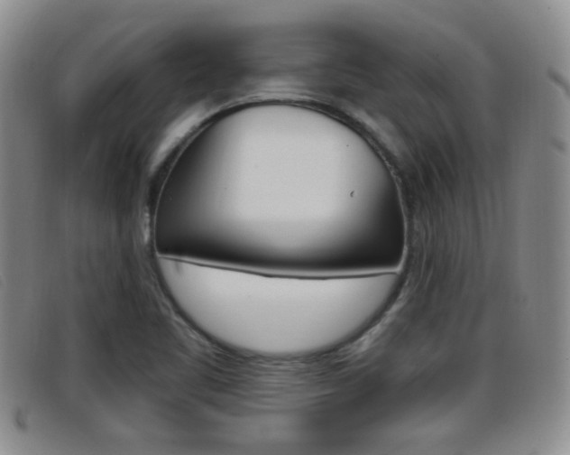 X0000096731461200802051117