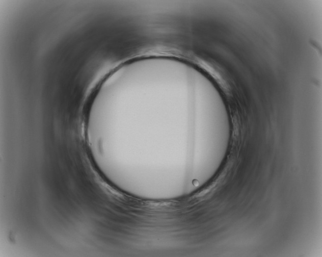 X0000096731462200802051117