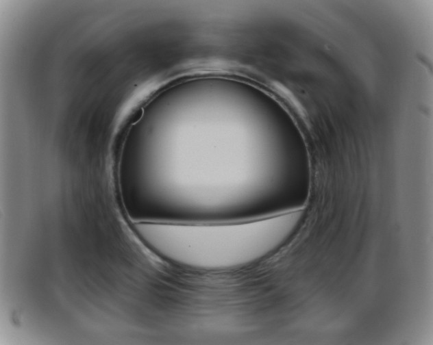 X0000096731464200802051117