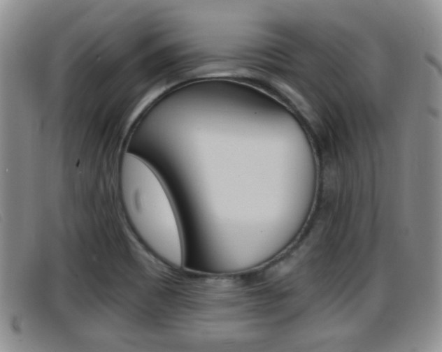 X0000096731465200802051117