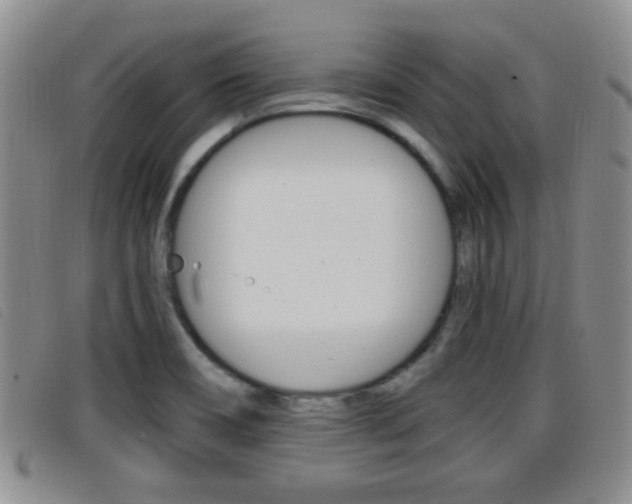 X0000096731466200802051117