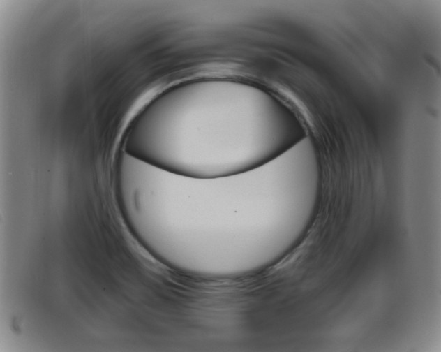 X0000096731467200802051117