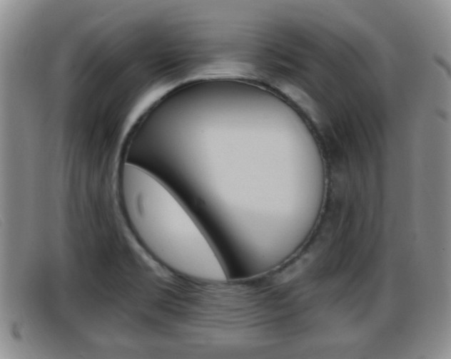 X0000096731469200802051117