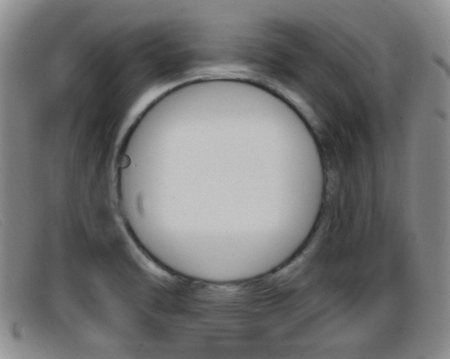 X0000096731470200802051117