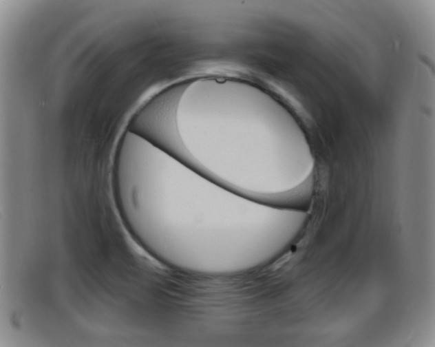 X0000096731471200802051117
