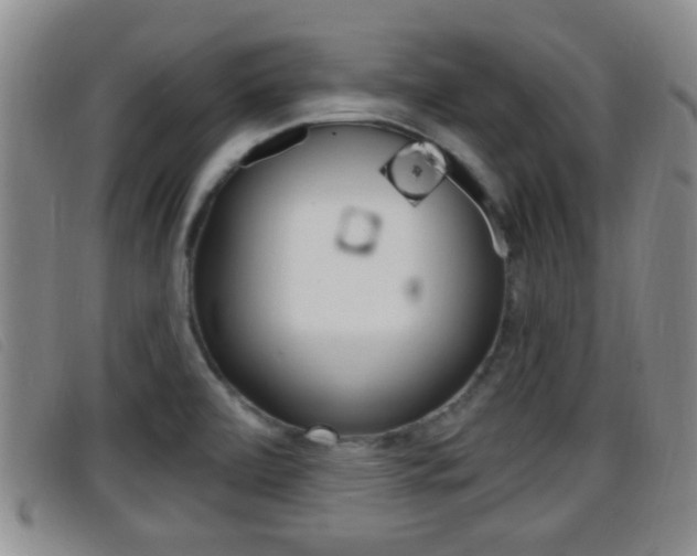 X0000096731472200802051117