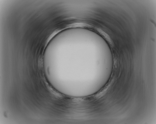 X0000096731473200802051117