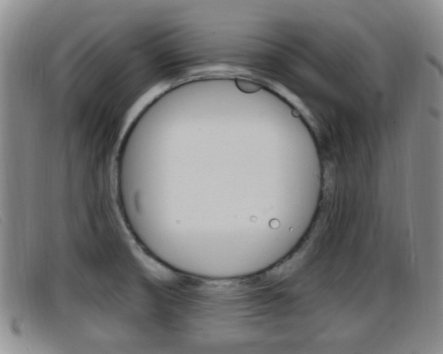 X0000096731474200802051117