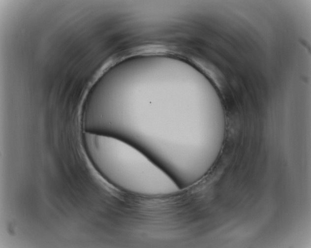 X0000096731475200802051117