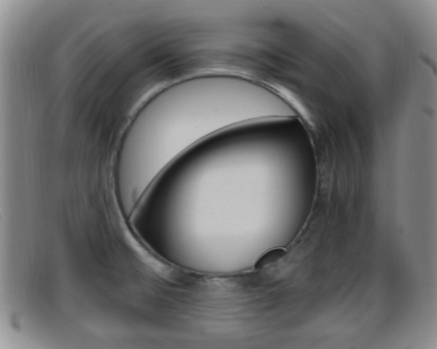 X0000096731476200802051117