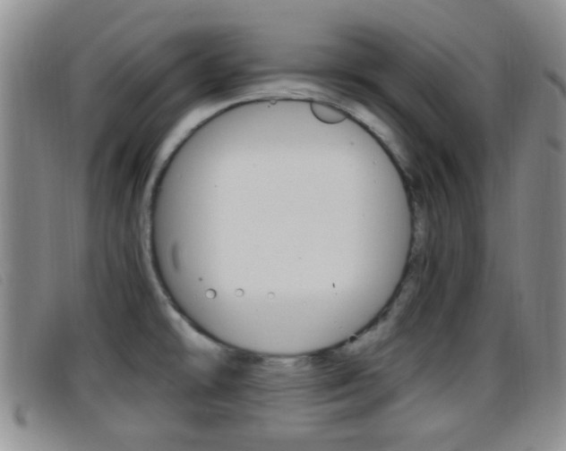 X0000096731478200802051117