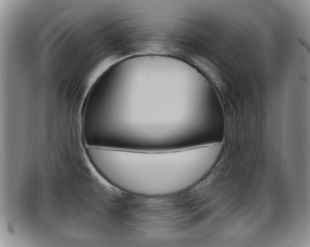 X0000096731479200802051117