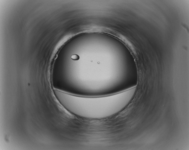 X0000096731480200802051117