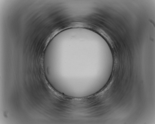 X0000096731481200802051117