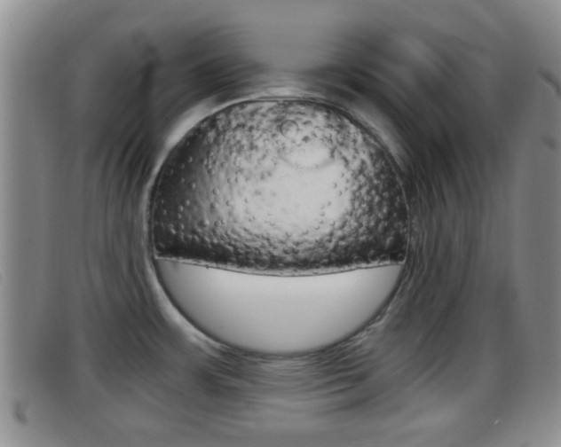 X0000096731483200802051117